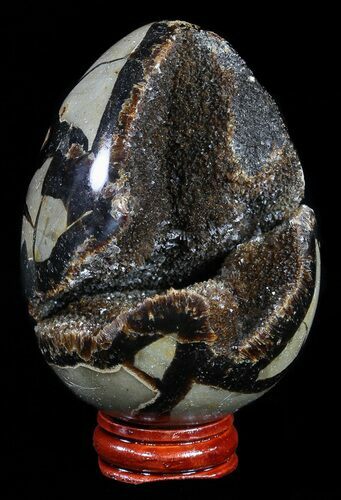 Septarian Dragon Egg Geode - Black Crystals #54555